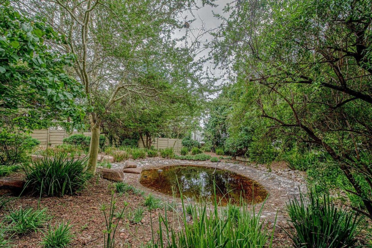 Wild Olive Executive Suite Johannesburg Bagian luar foto