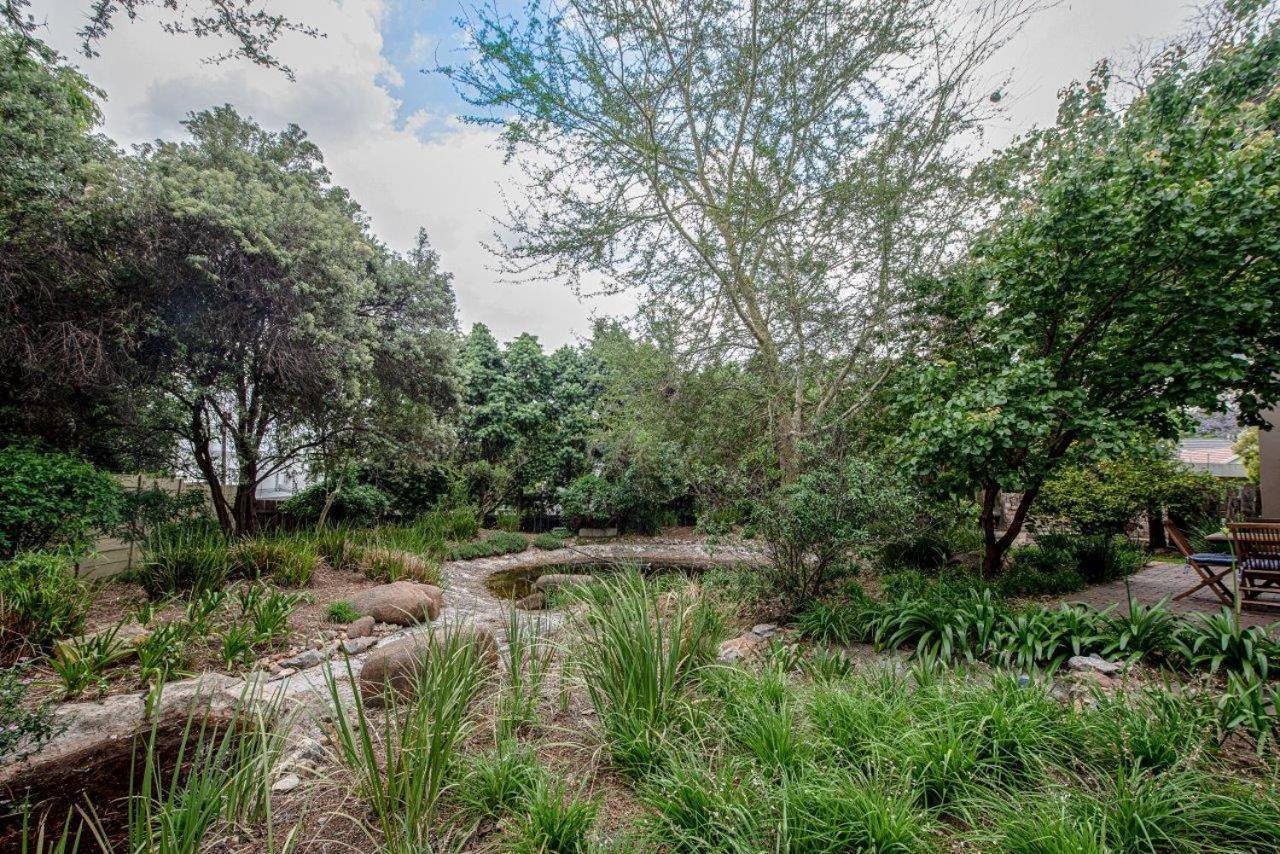 Wild Olive Executive Suite Johannesburg Bagian luar foto