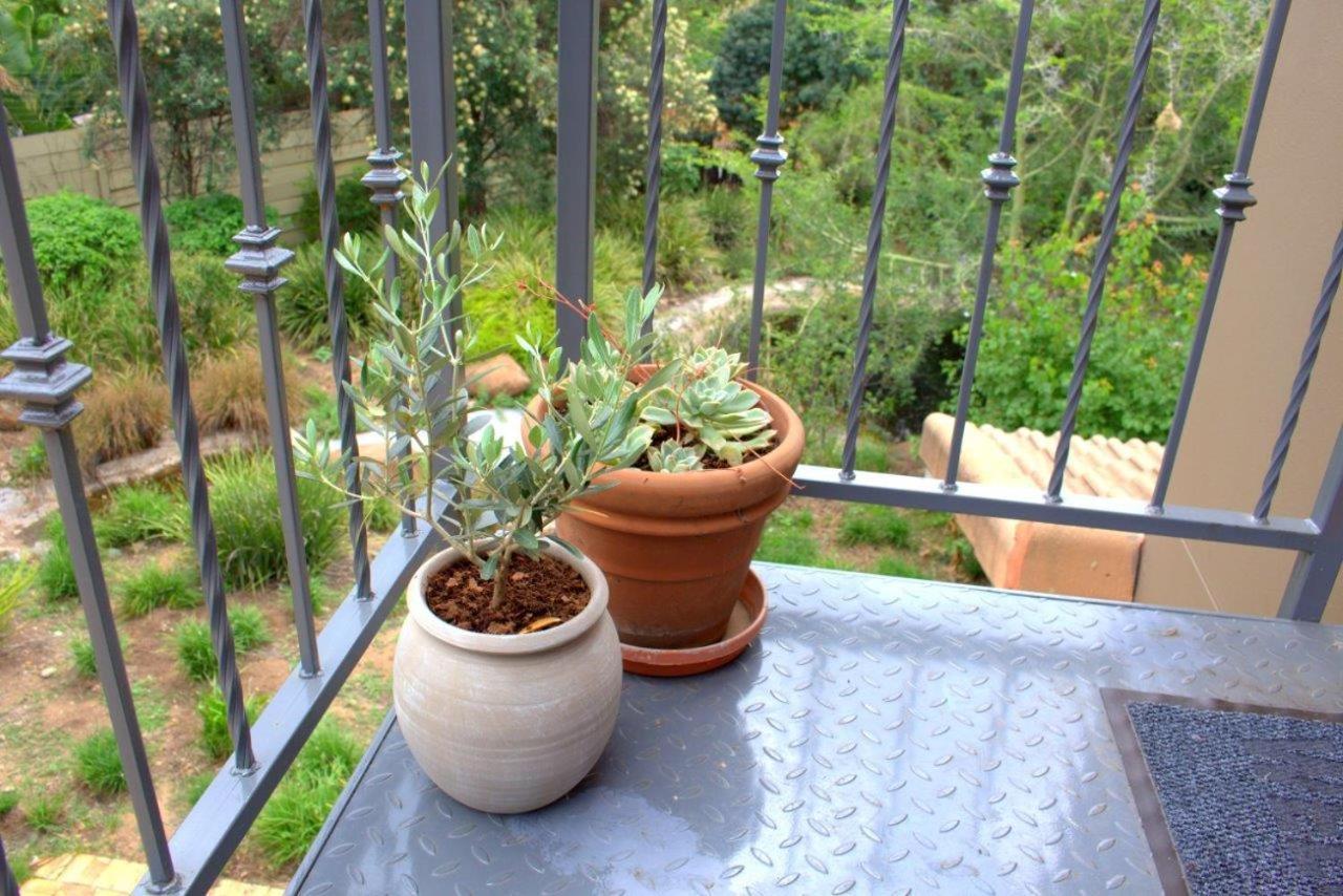 Wild Olive Executive Suite Johannesburg Bagian luar foto