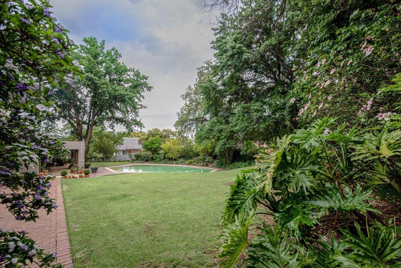 Wild Olive Executive Suite Johannesburg Bagian luar foto