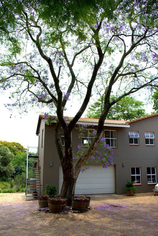 Wild Olive Executive Suite Johannesburg Bagian luar foto